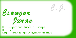 csongor juras business card